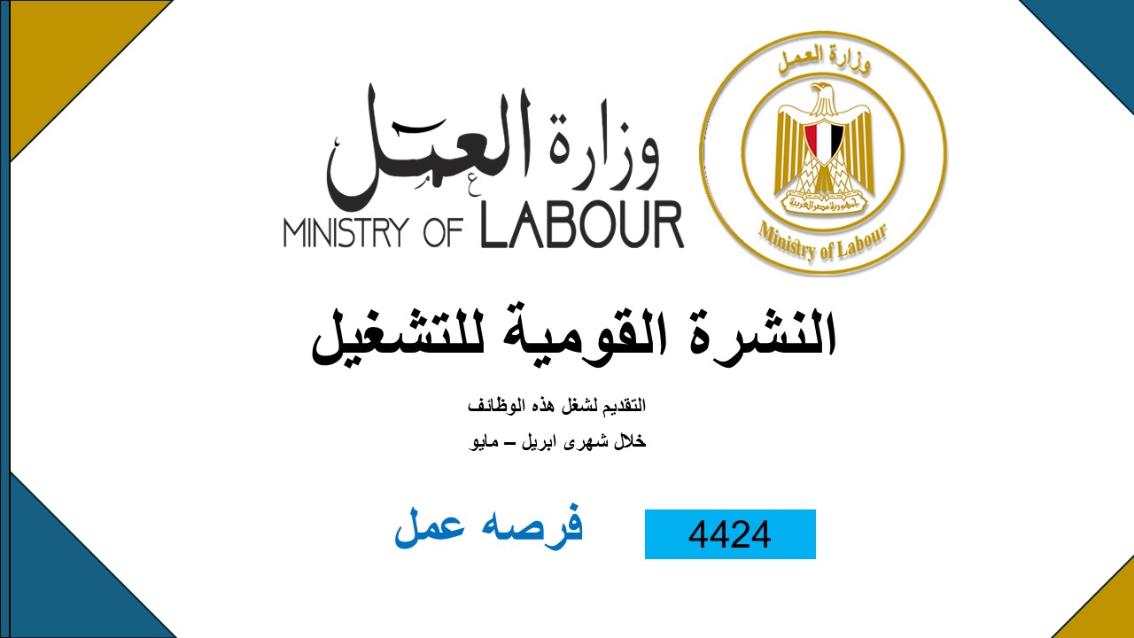 وزير القوى العامله 
